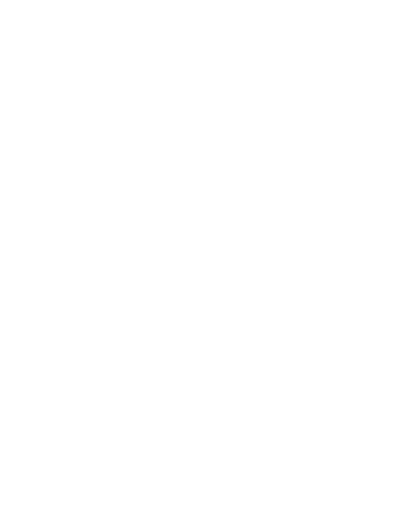 Reign Storm Clean Energy